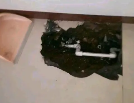 嘉峪关卫生间测漏水多少钱